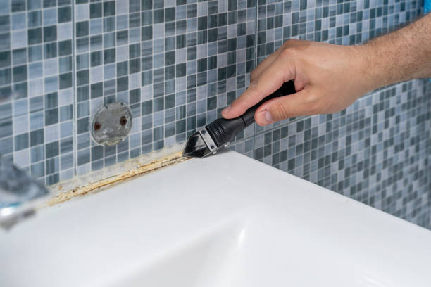 Best Mold Cleaning Services  in Pinebluff, NC