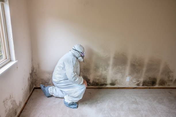 Crawl Space Mold Removal in Pinebluff, NC